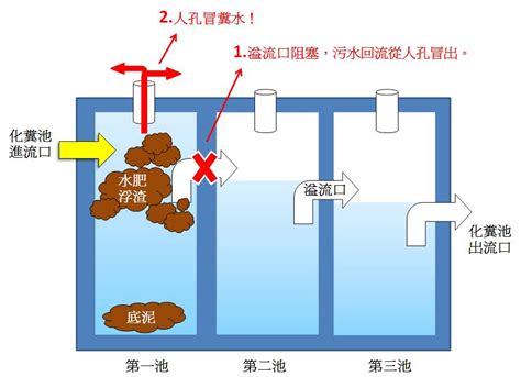 化糞池位置蓋哪最好